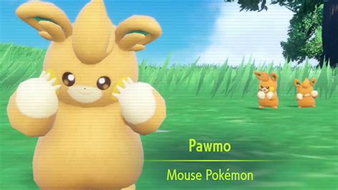 How to evolve Pawmo into Pawmot in Pokémon。